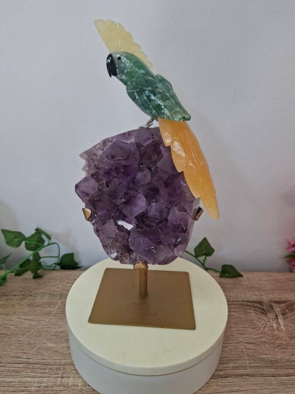 Crystal Cockatoo on Amethyst Cluster