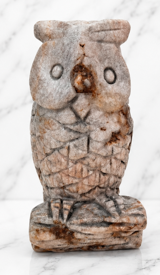 Dulcote Owl