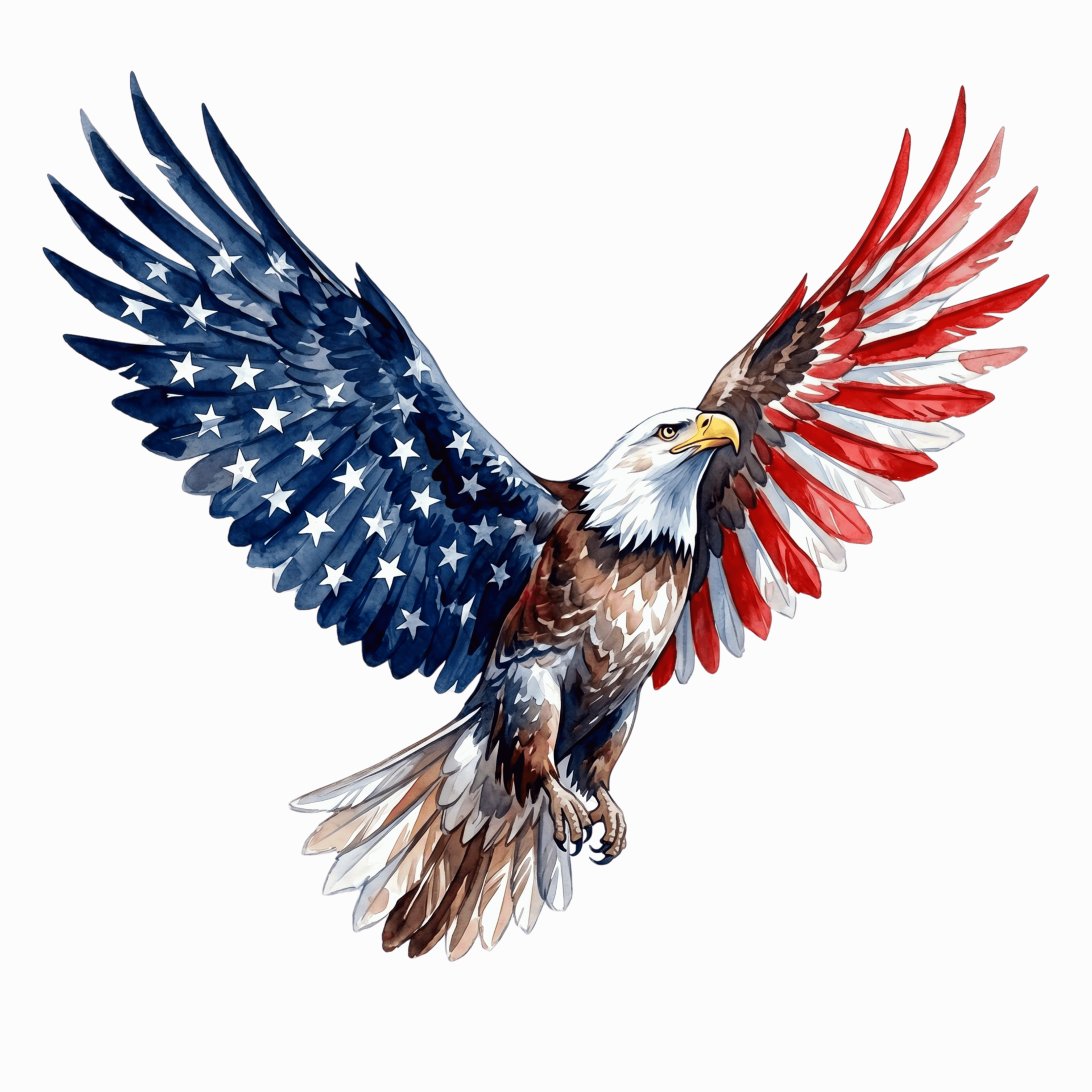 flag 13