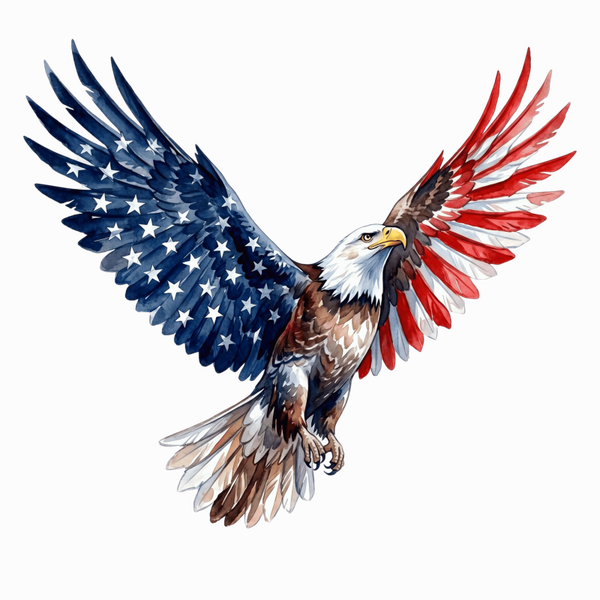 flag 13