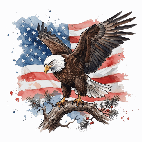 flag 2