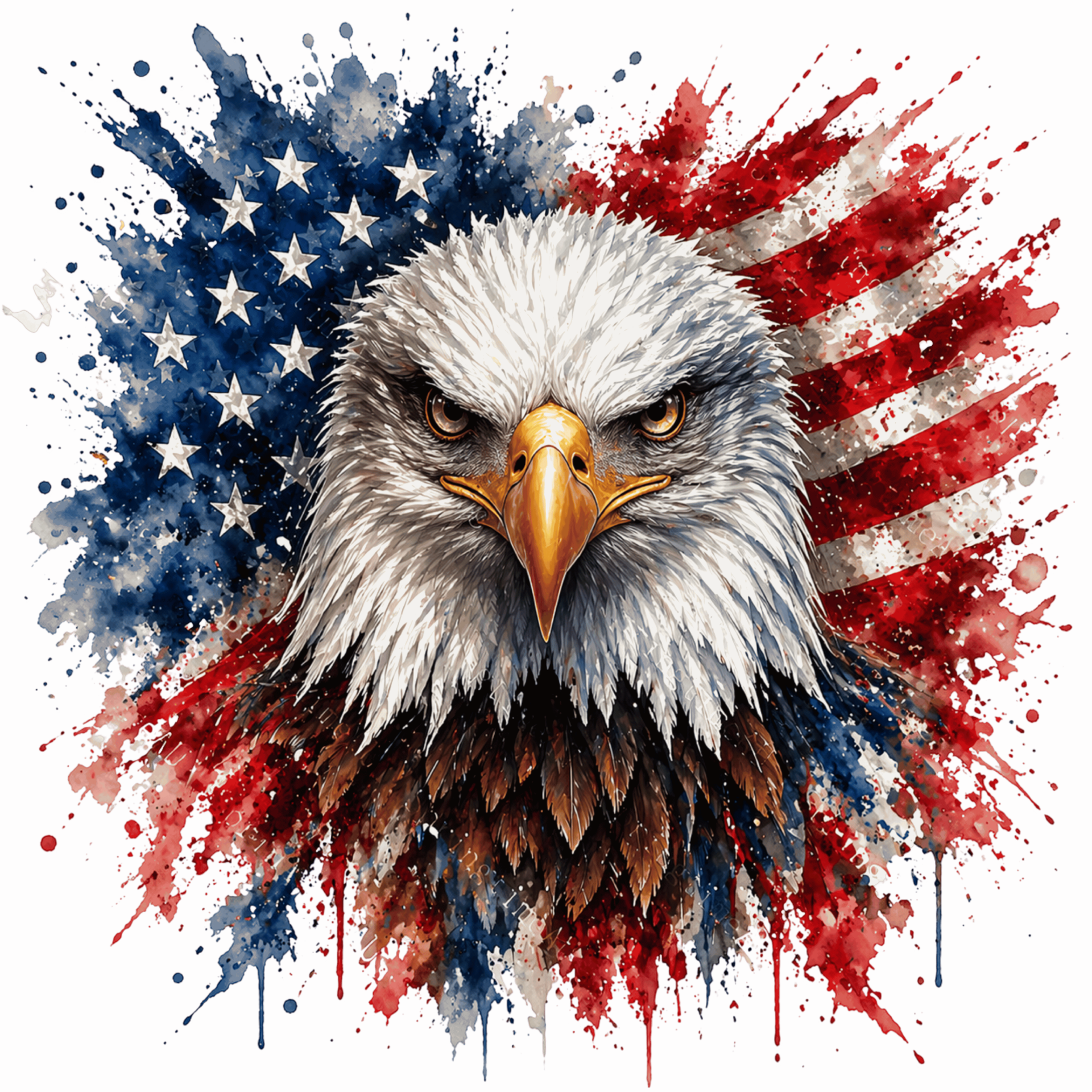 flag 21