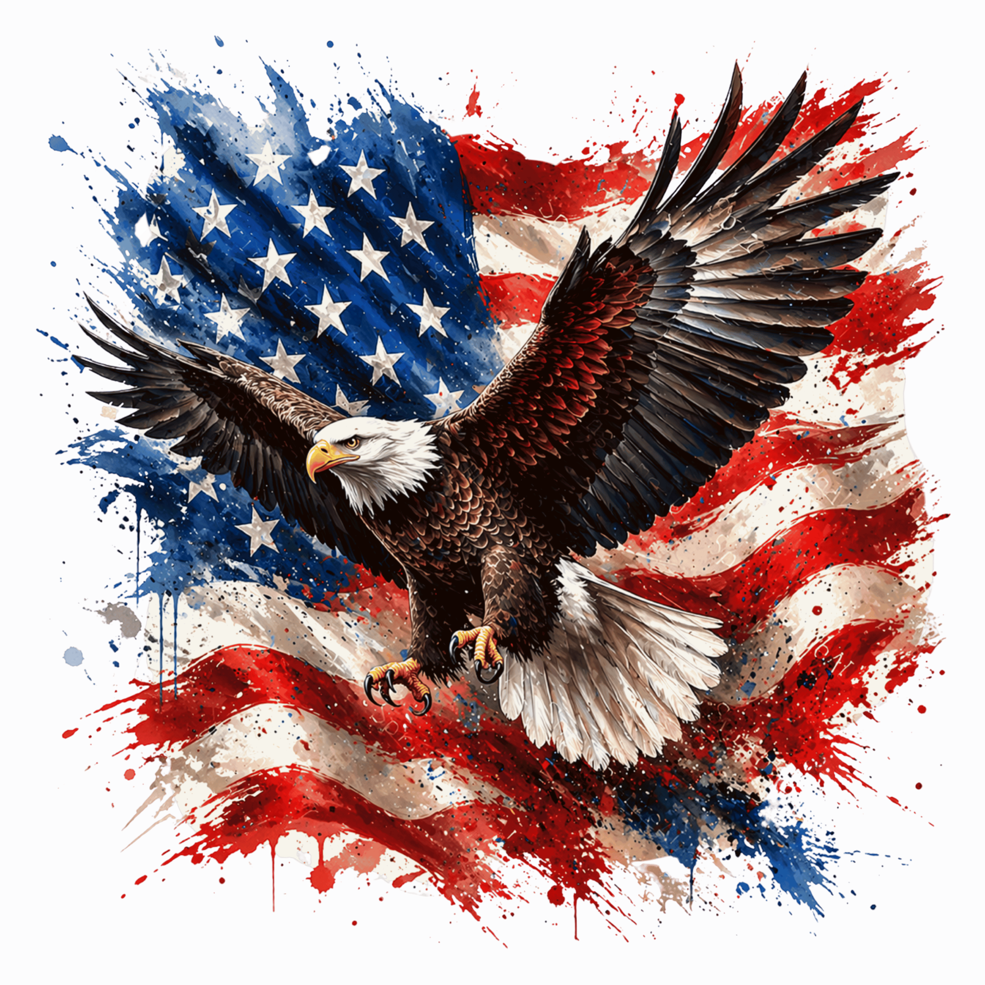 flag 24