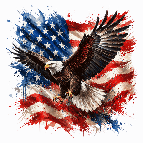 flag 24