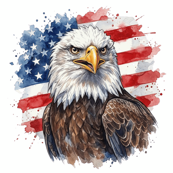 flag 3