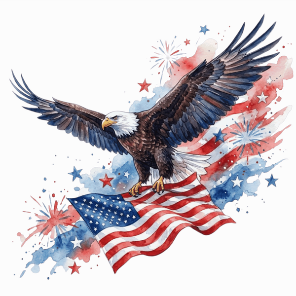 flag 5