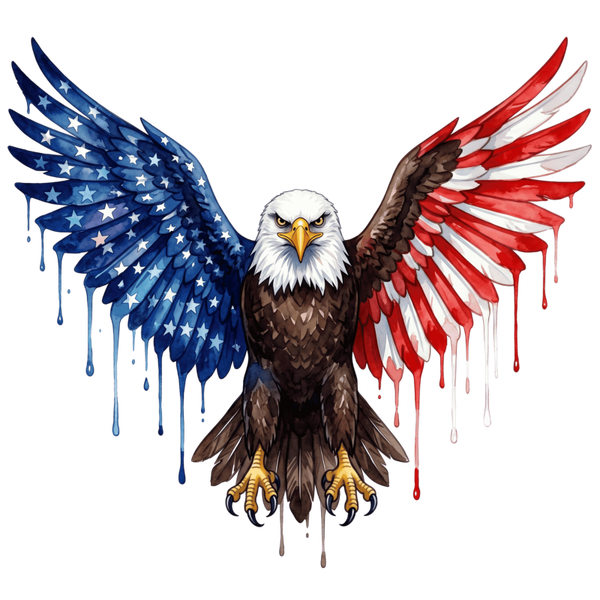 flag 6