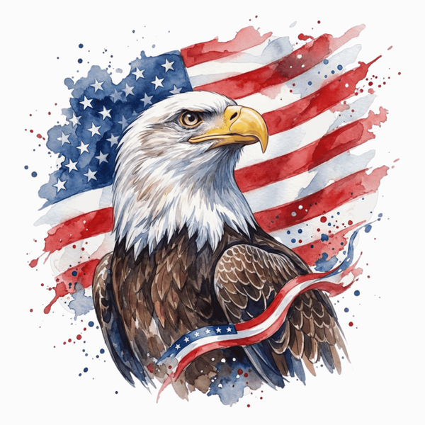 flag 9
