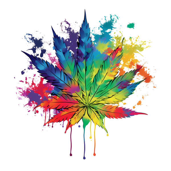 VIVID 13