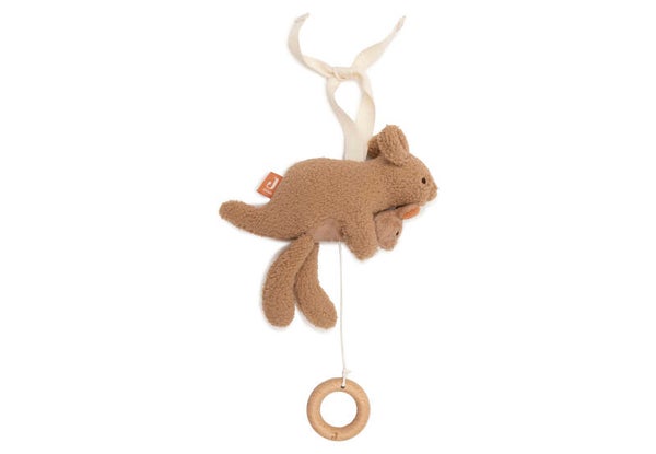 Jollein - Muziekhanger Kangaroots