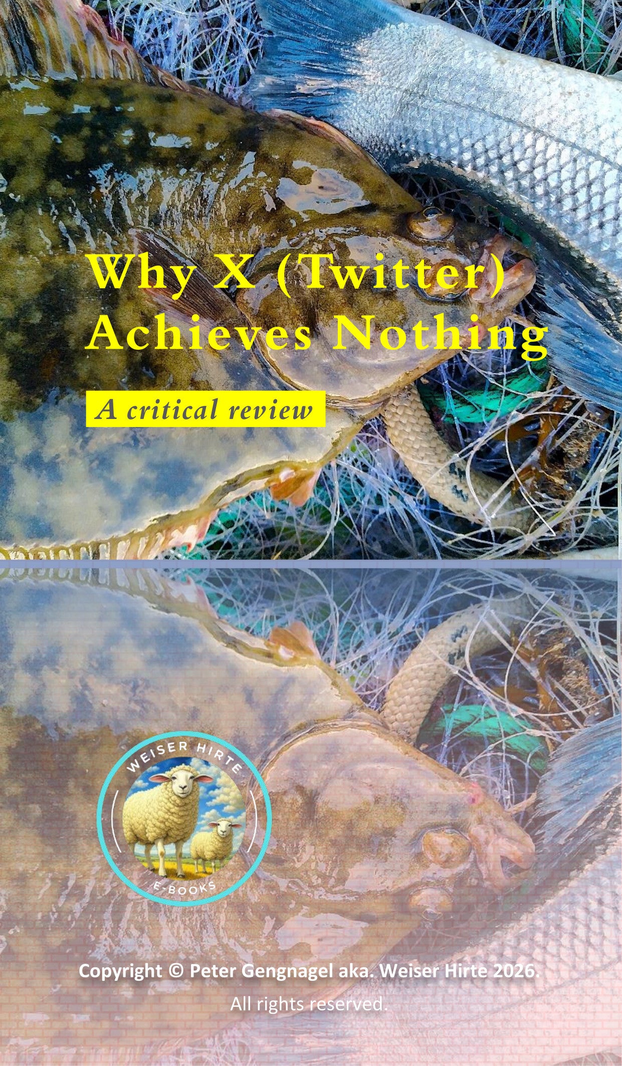 Why X (Twitter) Achieves Nothing