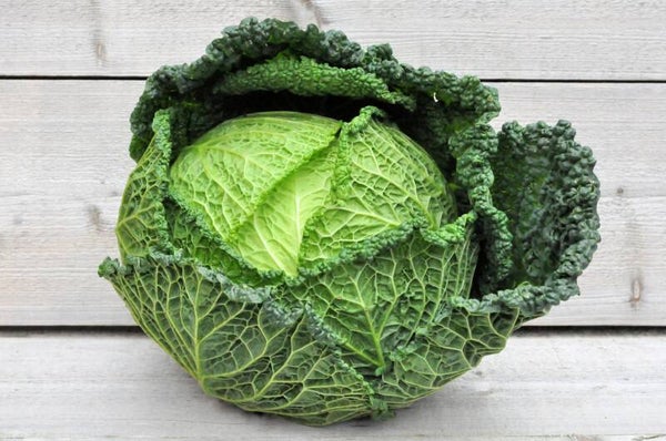 savooi kool (groene kool)