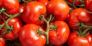 tomaat TROS