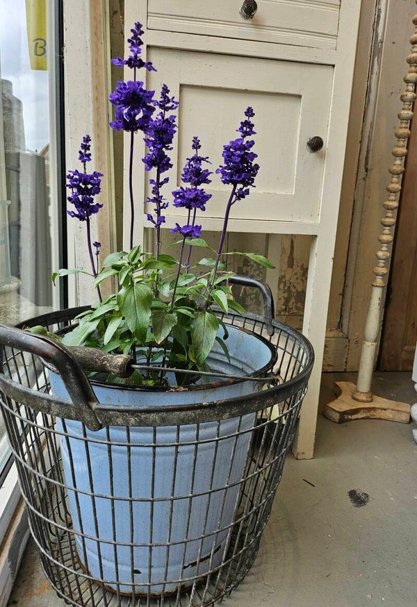 Zink aardappelen mand