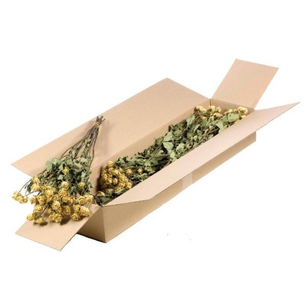 Gedroogde trosrozen wit