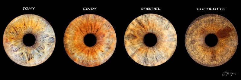 iris-cindy-standard.jpg