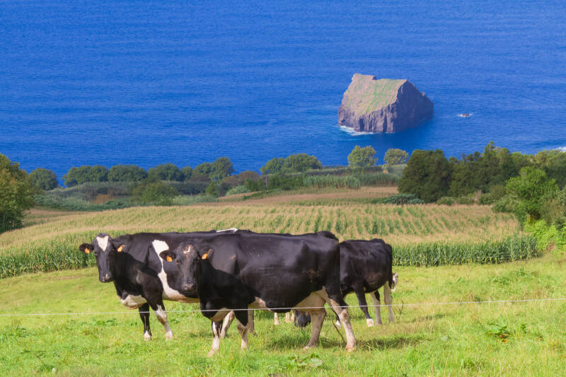 São Miguel, Açores