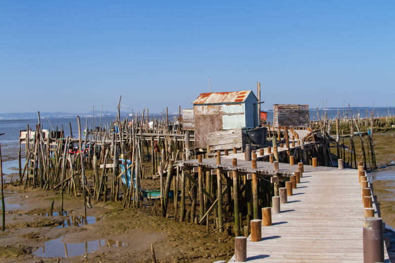 Carrasqueira, Comporta