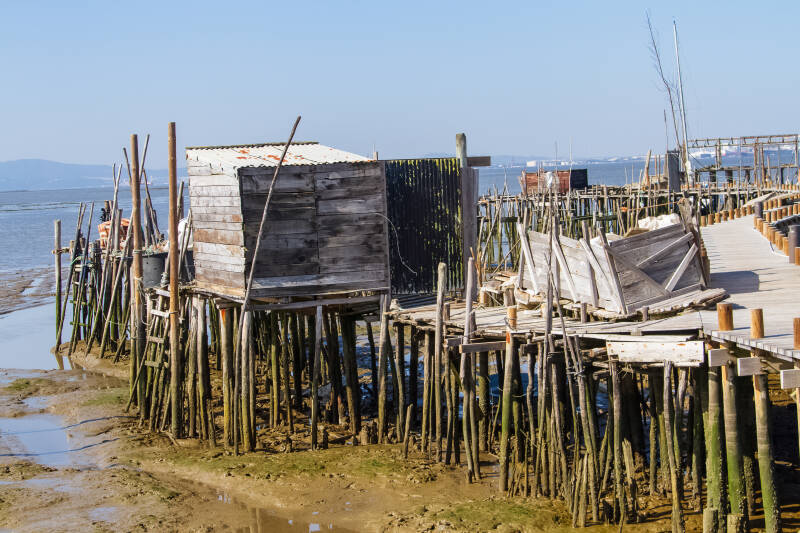 Carrasqueira, Comporta