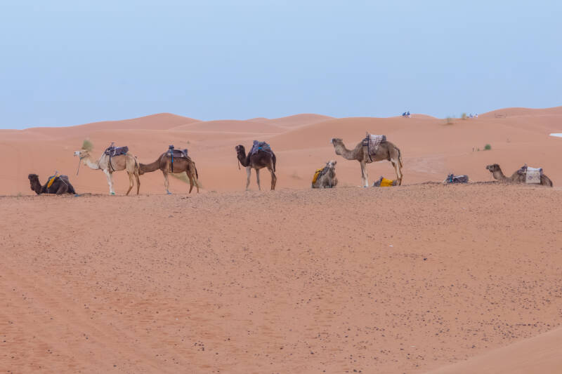 Marrocos, Merzouga