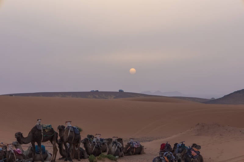 marrocos-23-standard.jpg