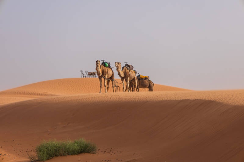 Marrocos, Merzouga