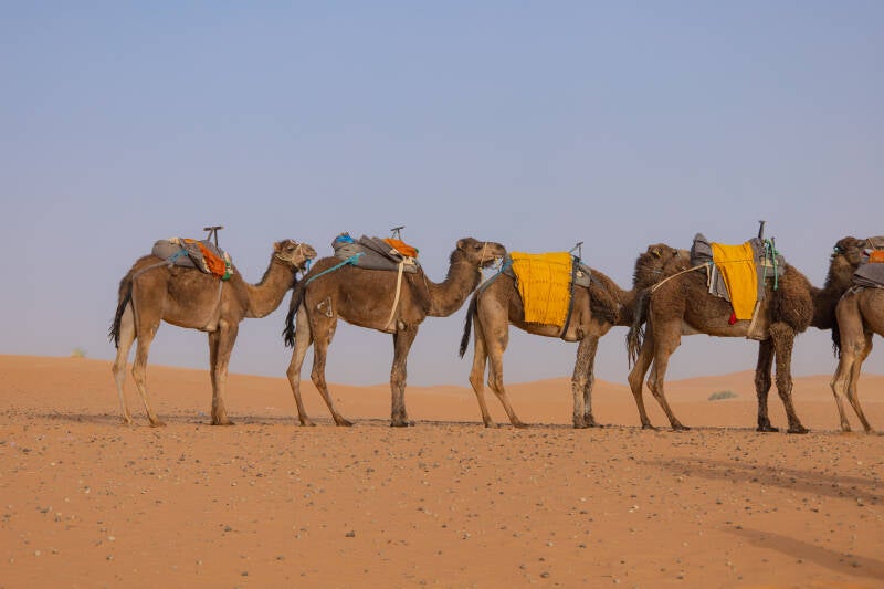 Marrocos, Merzouga