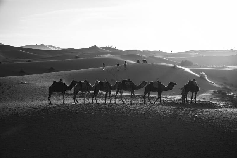 Marrocos, Merzouga