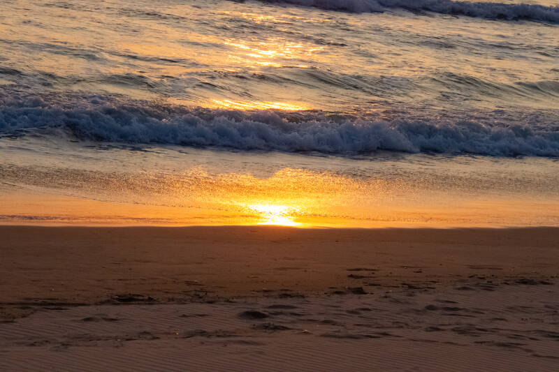 por-sol-99-standard.jpg