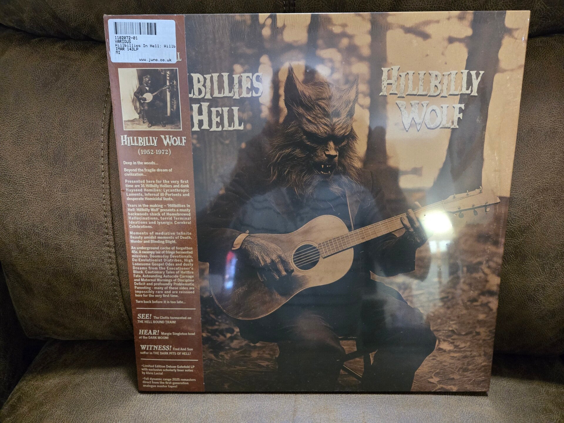 Hillbillies in Hell  Hillbilly Wolf   vinyl record Lp