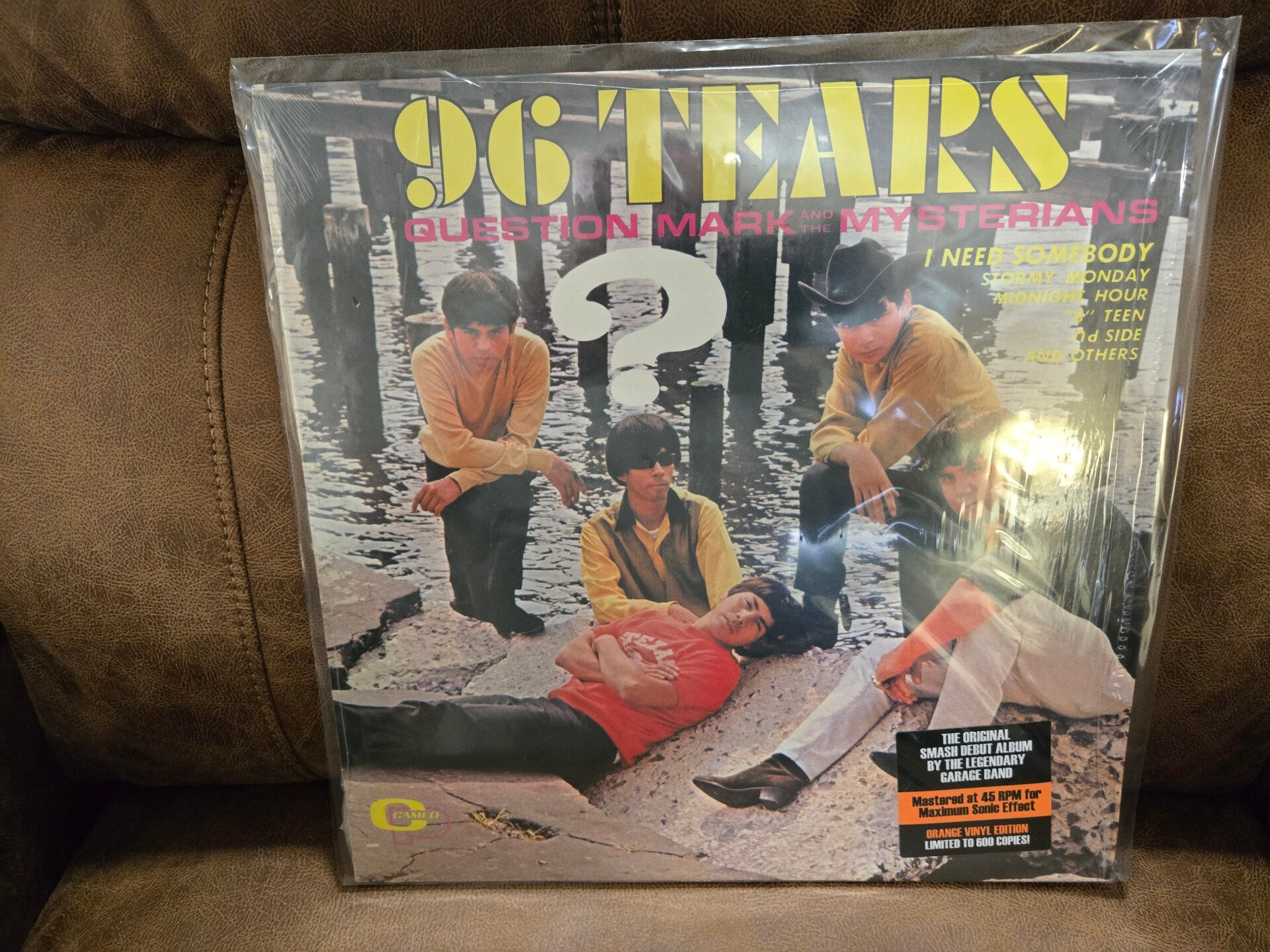 Question Mark and the Mysterians 96 TEARS vinyl record LP
