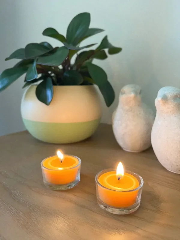 The Alchemised Hive - The Tealights (set of 2)