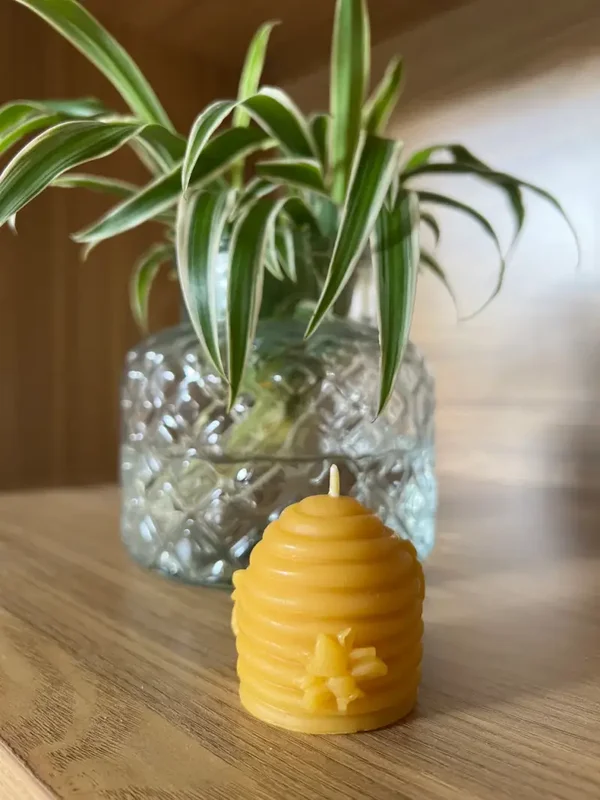 The Alchemised Hive - The Beehive