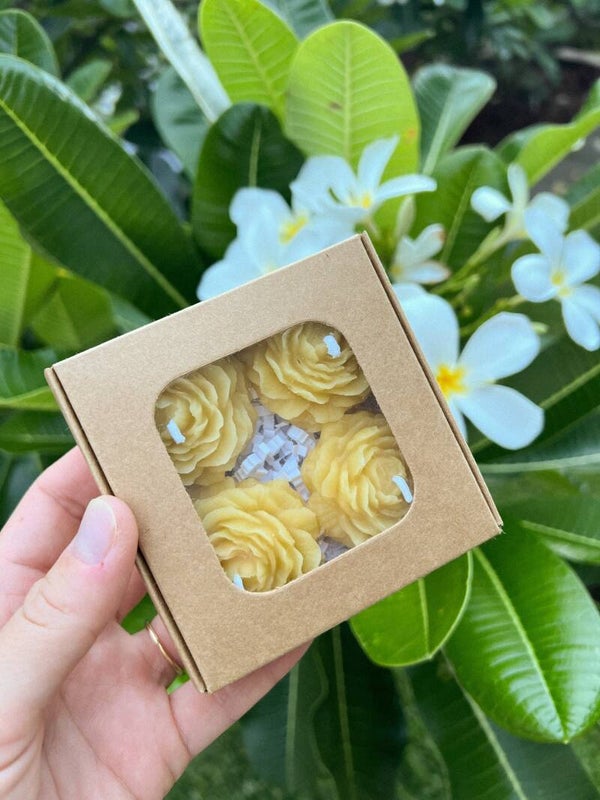 The Alchemised Hive - Peony Tealights