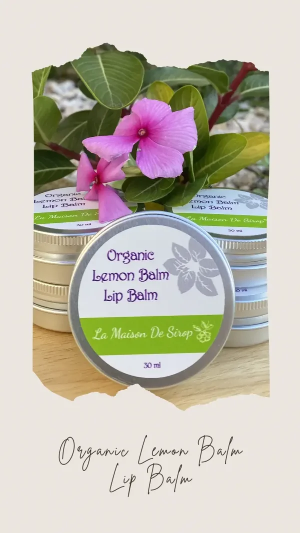 La Maison de Sirop - Lemon Balm Lip Balm 30ml