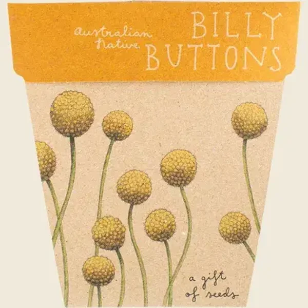 SOW 'N SOW Gift of Seeds