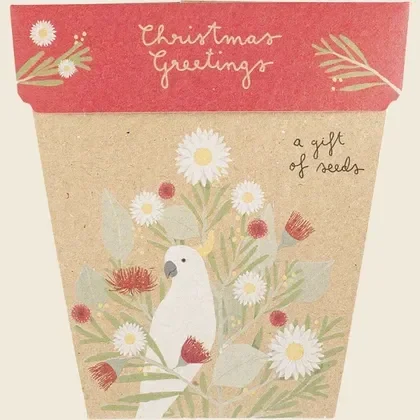 SOW 'N SOW Gift of Seeds for Christmas