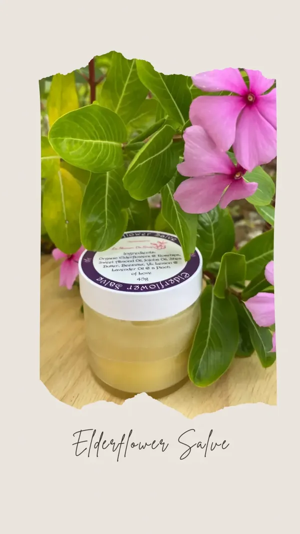 La Maison De Sirop  Elderflower & Rosehips Salve - 45g