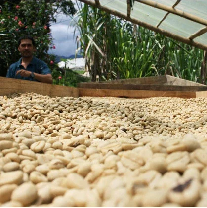 Colombia EA Sugar Cane - Decaf