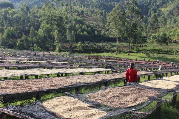 Burundi - Kayanza
