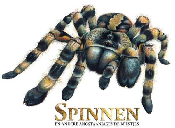 Spinnen en andere angstaanjagende beestjes