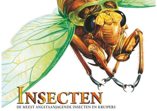 Insecten de meest angstaanjagende Insecten en kruipers