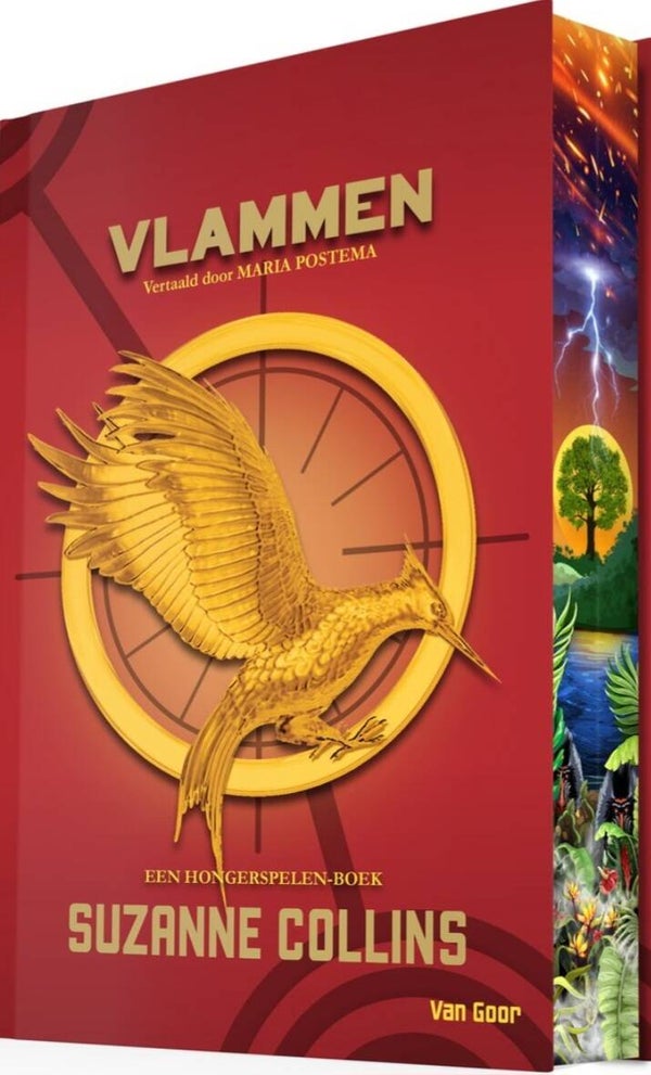 Vlammen een hongerspelen-boek