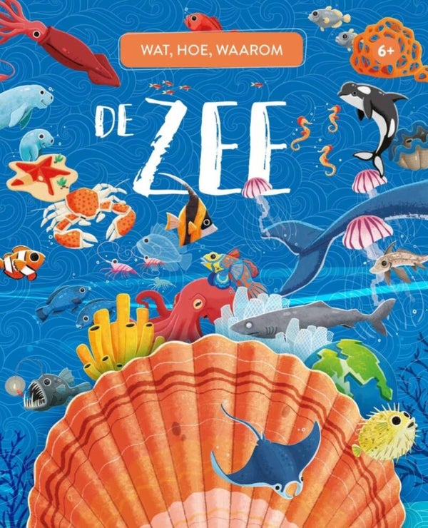 Wat, hoe, waarom de zee