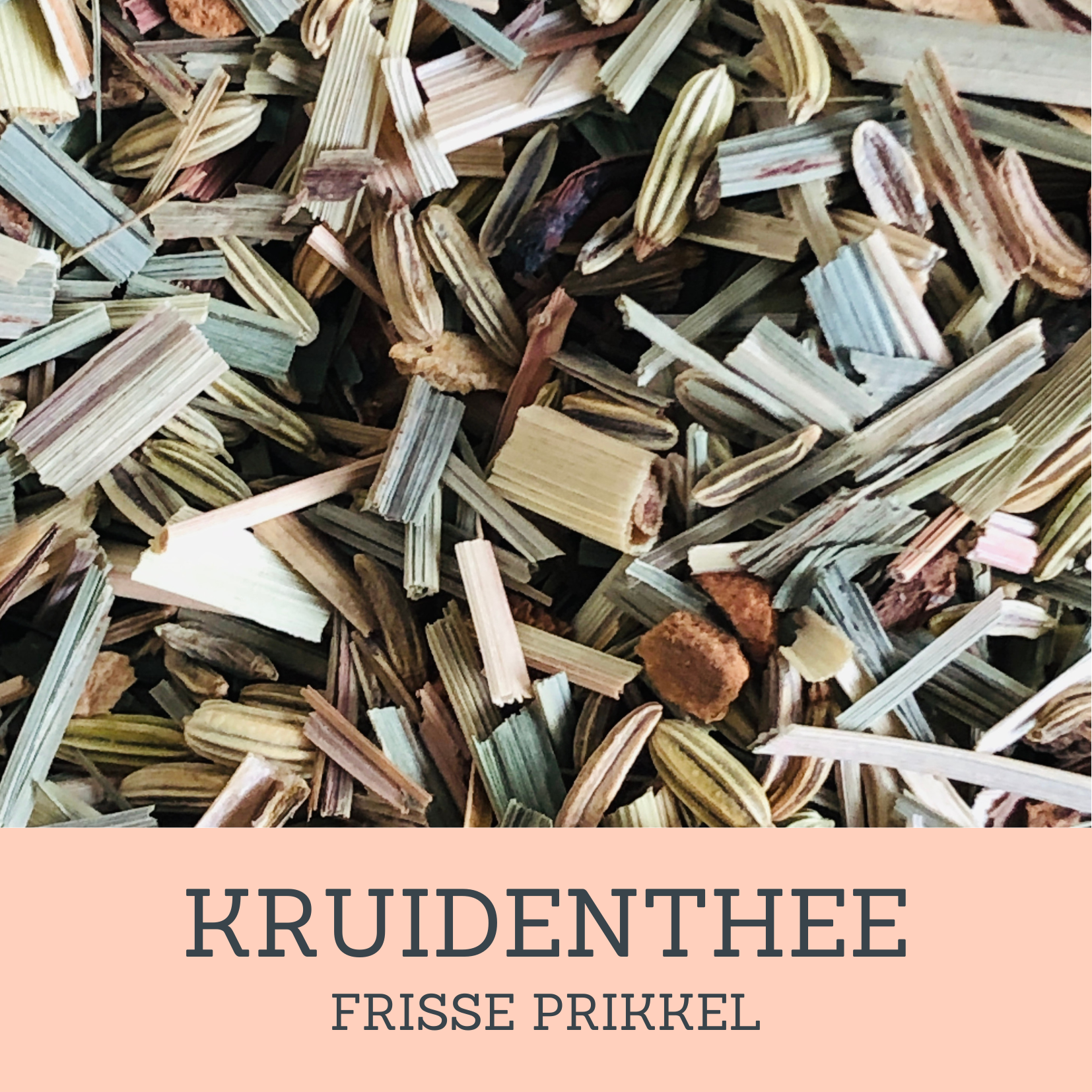 Frisse Prikkel