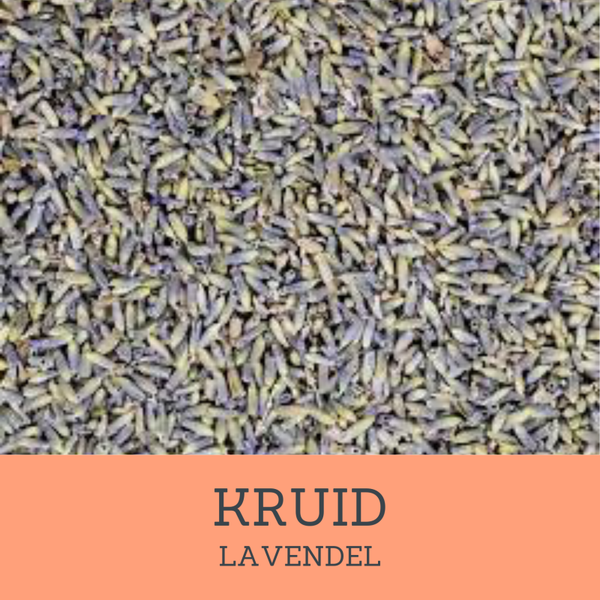 Lavendel