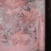 Helados