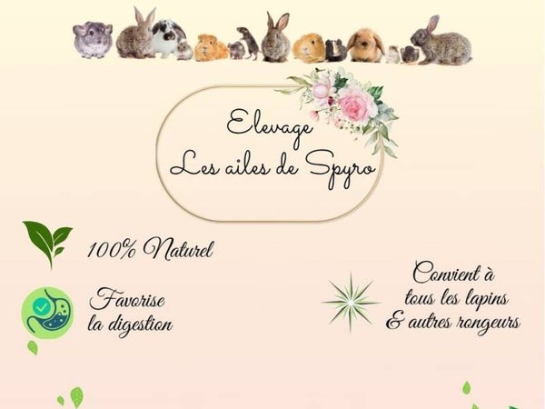 STICKERS PERSONNALISES SUR DEMANDE