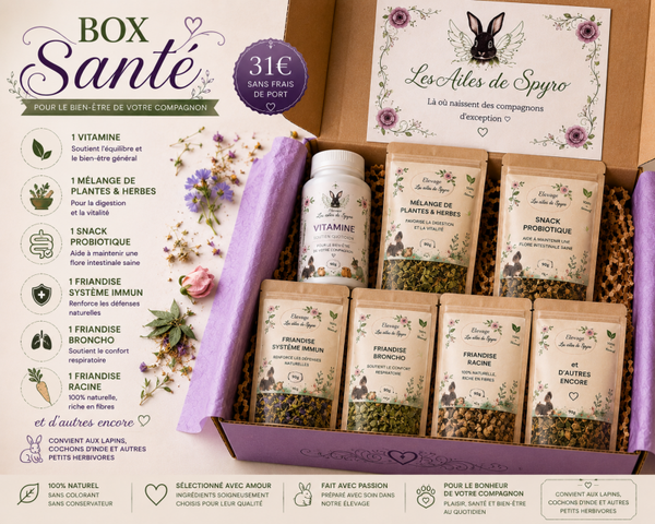 BOX SANTE -  LAPIN - RONGEURS