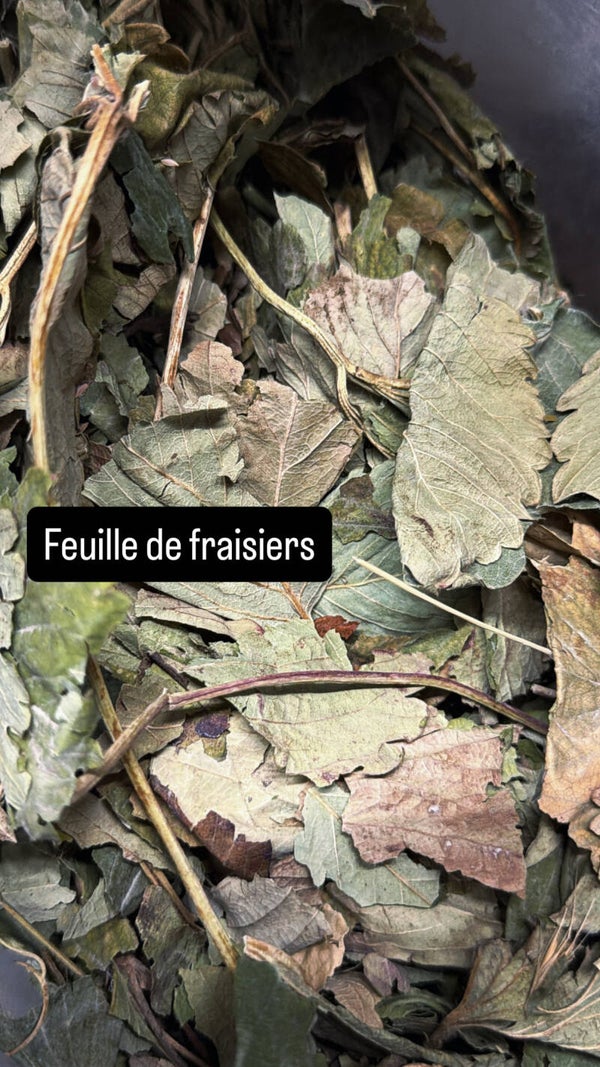 FRIANDISE FEUILLE DE FRAISIER